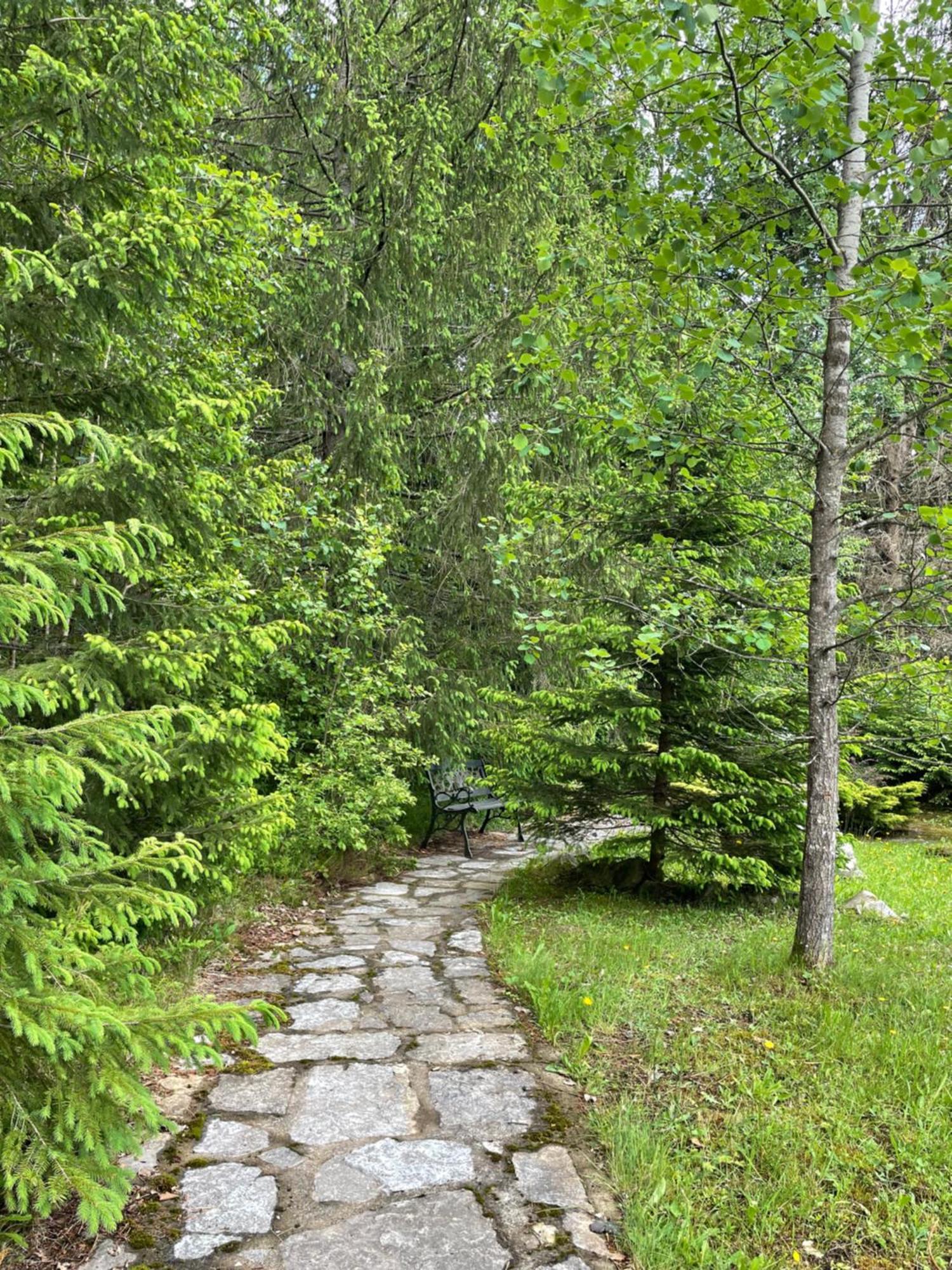 Relaxation In Guta Гута Покращене Шале Dış mekan fotoğraf